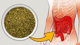 Why You Should Add Oregano to Your Diet Immediately 13 Scientific Reason [upl. by Oht]