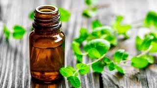 6 Amazing Health Benefits Of Peppermint Oil [upl. by Jose]