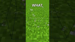 Hold up shorts minecraft minecraftglitches minecraftshorts fyp itsmejames gaming [upl. by Skerl329]