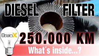 Kraftstofffilter Dieselfilter nach 250000 Km und 10 Jahren geöffnet  What´s inside [upl. by Auos]