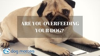 Dont Overfeed Your Dog [upl. by Langer353]