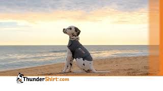 ThunderShirt® Commercial 2024 30s [upl. by Nerrot713]