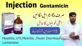 Injection جینٹا مائی سین  Gentamicin Use In Mastitis Metritis Pneumonia Diarrhea  Gentafar [upl. by Kit]