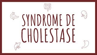 Sémiologie Hépatique  Syndrome de Cholestase [upl. by Schaeffer283]