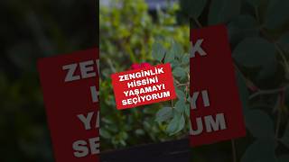 ZENGİNLİK HİSSİNİ YAŞAMAYI SEÇİYORUM [upl. by Ynattib730]