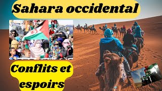 Secrets et Conflits du Sahara Occidental  Ce Que Vous Devez Savoir quot saharaoccidental conflit🇩🇿 [upl. by Donnie]