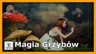 Magia Grzybów [upl. by Una]