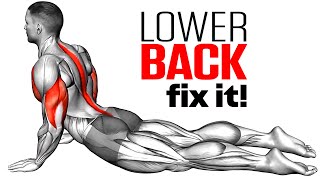 Exercises To Reduce Lower Back Pain [upl. by Latin852]