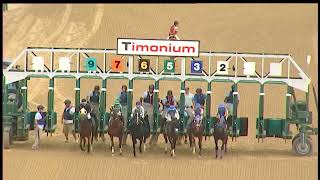 TIMONIUM 08 31 2024 RACE 7 [upl. by Yendis998]