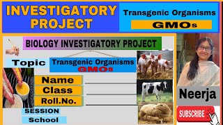 Transgenic OrganismsGenetically Modified Organisms 25th Investigatory project Class 12 Biology [upl. by Rafe]