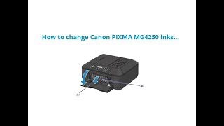 How to change Canon PIXMA MG4250 ink cartridges [upl. by Yram]