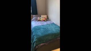 Broadgate Park Ensuite Studio amp Albion House Standard Bedroom Tour [upl. by Enelec]