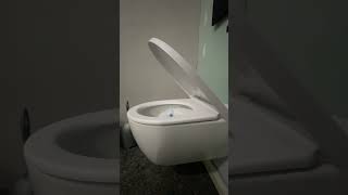 Geberit Icon toilet closing seat with damper and very good non stick surface toilet home house [upl. by Nillok678]