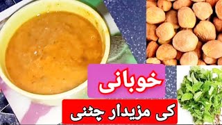 APRICOT CHATNI  KHUBANI KI CHATNI  IMLI KHUBANI CHATNI [upl. by Elnukeda]