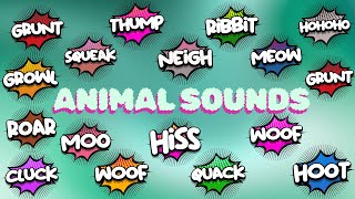 The Animal Sounds Song New Version [upl. by Sad]