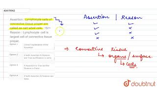 Assertion  Lymphocyte cells of connective tissue proper are called as cart whell cels [upl. by Ecarret]