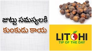 Kunkudukai Reetha or Soap nuts for hair growthKunkudukai Benefits in TeluguLitchi Tip of the Day [upl. by Mera]