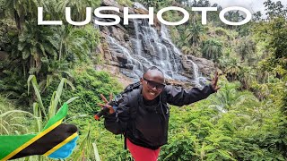 My First Impressions Of Lushoto Tanzania 2024 🇹🇿 [upl. by Cirde851]