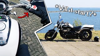 Riding The Suzuki Intruder M800 IF It Starts  Motovlog 13 [upl. by Magel]