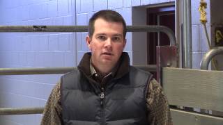 Jason Cleere  Branding  Introduction to Cattle Identification [upl. by Adnole]