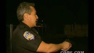 Shots Fired Officer Nelson Figueroa COPS TV SHOW [upl. by Ednargel]