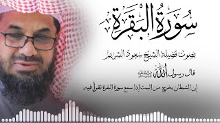 سورة البقرة كاملة فضيلة الشيخ سعود الشريم surah baqarah saud shuraim [upl. by Ellita]