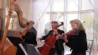 Harp Trio with Violin and Cello  Wedding Music  Colorado Musicians  A Music Plus Entertainment [upl. by Acherman48]