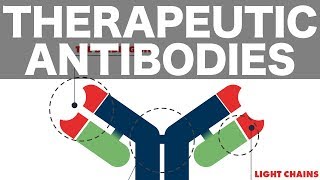 Therapeutic Monoclonal Antibodies [upl. by Eledoya169]