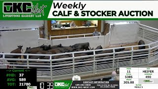 6252024  OKC West Calf and Stocker Auction [upl. by Carlotta]