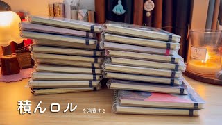 積んロルとフレキシブルで試したいこと❣️📖【前編】新しいノートを買う前に積んロルから消費したい❣️ [upl. by Sirrad]