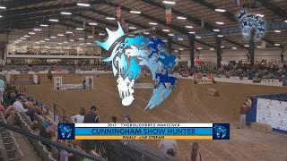 Show Hunter Finale Thoroughbred Makeover 2017 [upl. by Nannahs227]