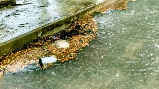 Too Many Leafs amp Trash Blocked Drainage Then The Streets Flooded Video Unclogged [upl. by Sung]