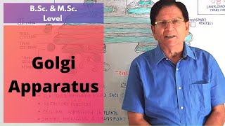 Golgi Apparatus  BSc amp MSc Level Biology [upl. by Civ714]