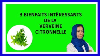 3 Bienfaits de la Verveine Citronnelle [upl. by Elmira659]