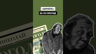 «Шинель» за 30 секунд  литература огэлитература огэ [upl. by Artekal]