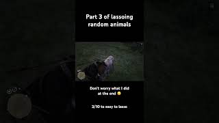 Part 3 of lassoing random animals rdr2online rdr2 rdr2funny rdr2funnymoments fyp [upl. by Larentia]