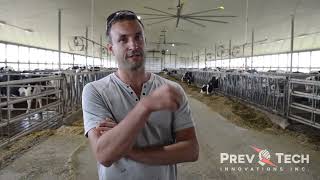 Mon Expérience PrevTech  Backx Dairy Farms soustitres en français [upl. by Maitilde969]