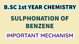 BSc 1st Year Chemistry  Sulphonation of Benzene  Important Mechanism [upl. by Lertnek]