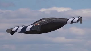 Black fly Flying Car  Hidden Understanding [upl. by De]