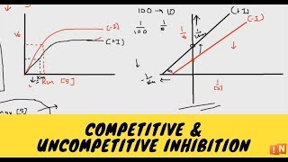 Competitive and Uncompetitive Inhibition  Reversible Inhibition Part 1 [upl. by Kitti812]