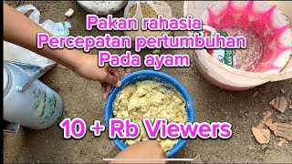 RESEP RAHASIA PAKAN AYAM CEPAT BESAR WAJIB NONTON UNTUK PARA PETERNAK [upl. by Ahsar453]