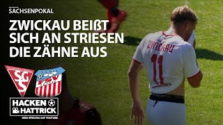 SG Dresden Striesen vs FSV Zwickau  Highlights 2 Runde Sachsenpokal [upl. by Og510]