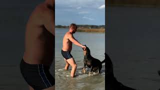 Ekipa z jezior  Jesień ekipazjezior ekipa jesień jesieniara labrador beauceron jezioro pies [upl. by Nylac209]