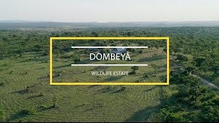 Dombeya Wildlife Estate [upl. by Tripp]