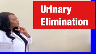 NCLEX Practice for Urinary Elimination [upl. by Sullecram]