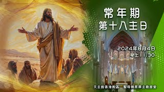 直播彌撒 【常年期第18主日】（乙年）482024（日）早上 1130 陳志明神父 主禮 [upl. by Hilliard633]