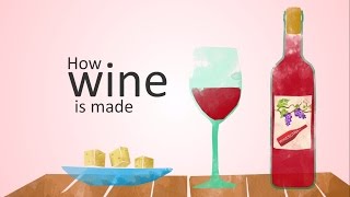 how wine is made animation [upl. by Durstin795]