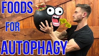 How to Boost Autophagy without Fasting  What is Autophagy  Foods for Autophagy  Thomas DeLauer [upl. by Acirret92]