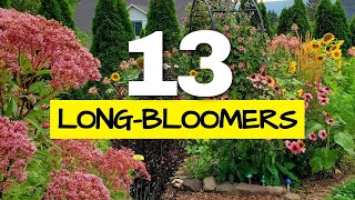 These are the Longest Blooming Perennials in my Garden I Tracked Them All Year [upl. by Mast]