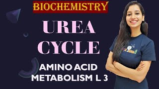 Urea Cycle I Ornithine cycle I Amino Acid Metabolism Lecture 3 I Biochemistry I Unit 1 [upl. by Eluk]